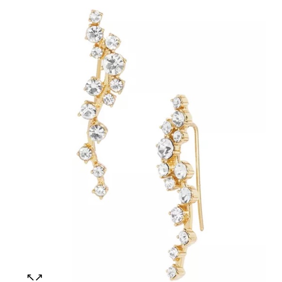 BaubleBar Jewelry Baublebar Farrah Crawler Earrings Poshmark
